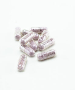 Amethyst Molly Pills - Shroom Garden