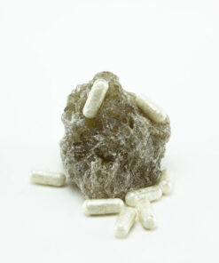 Champagne Molly Pills - Shroom Garden