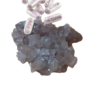 Pink Champagne Molly Pills - Shroom Garden