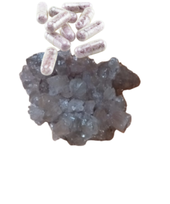 Pink Champagne Molly Pills - Shroom Garden