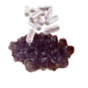 Purple Moonshade Molly Pills - Shroom Garden