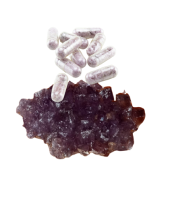 Purple Moonshade Molly Pills - Shroom Garden