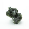 Shamrock Rock - Shroom Garden