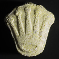 Rolex MDMA For Sale